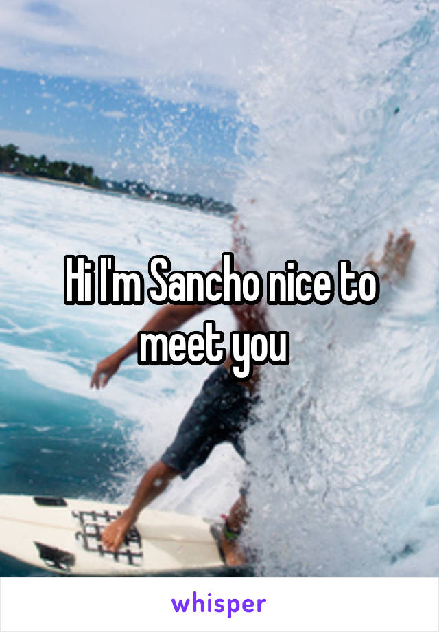 Hi I'm Sancho nice to meet you  