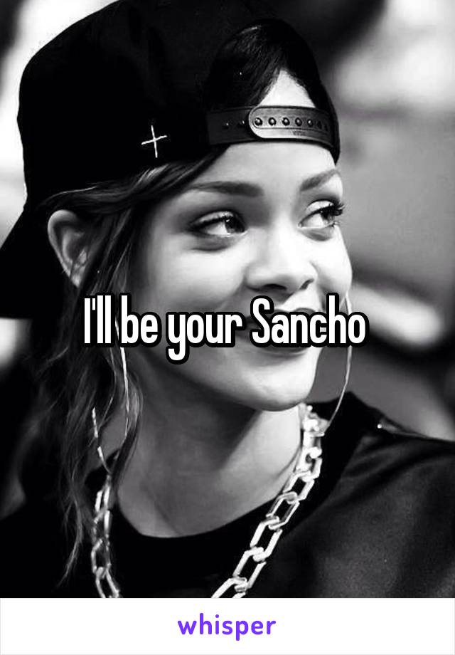 I'll be your Sancho 