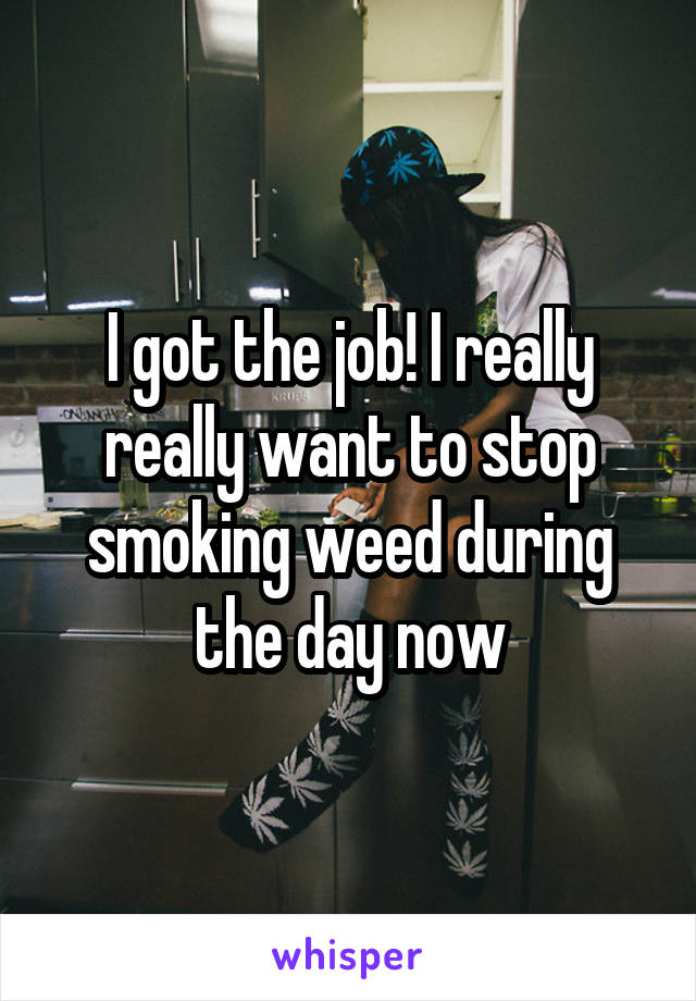 I got the job! I really really want to stop smoking weed during the day now
