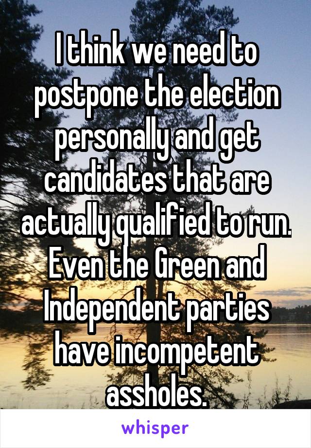 I think we need to postpone the election personally and get candidates that are actually qualified to run. Even the Green and Independent parties have incompetent assholes.