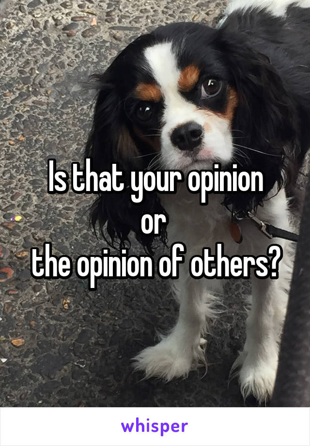 Is that your opinion
or 
the opinion of others?