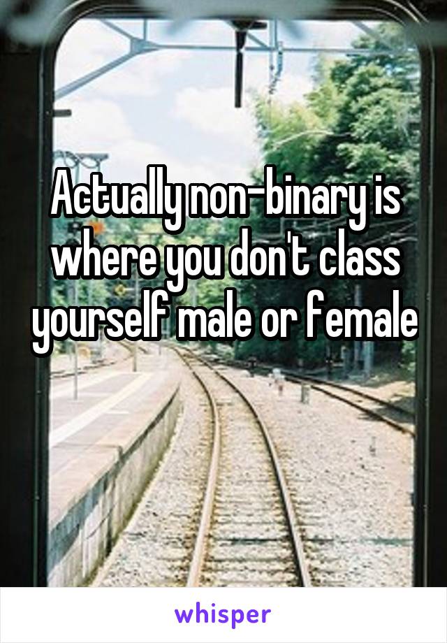 Actually non-binary is where you don't class yourself male or female 
