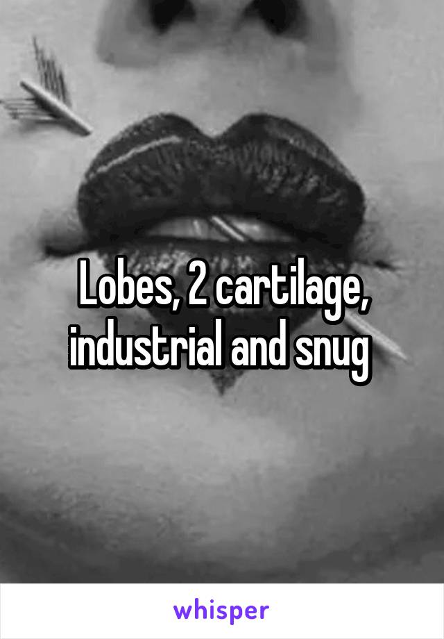 Lobes, 2 cartilage, industrial and snug 