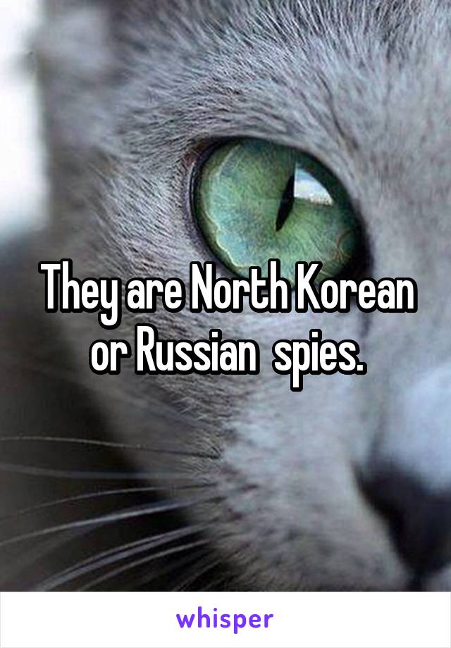 They are North Korean or Russian  spies.