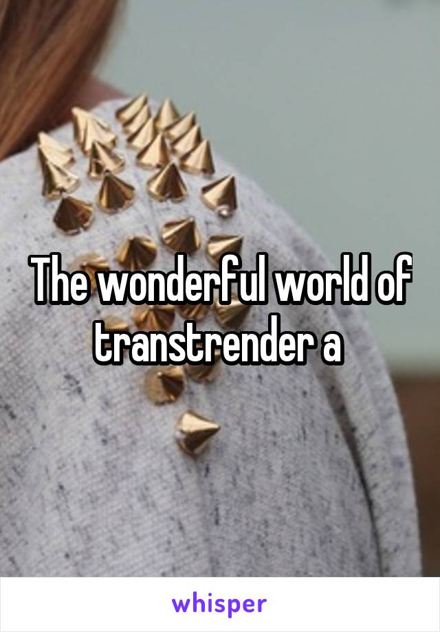 The wonderful world of transtrender a 