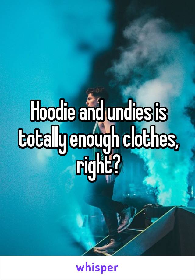 Hoodie and undies is totally enough clothes, right?