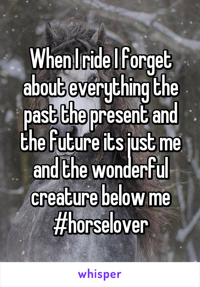 When I ride I forget about everything the past the present and the future its just me and the wonderful creature below me
#horselover