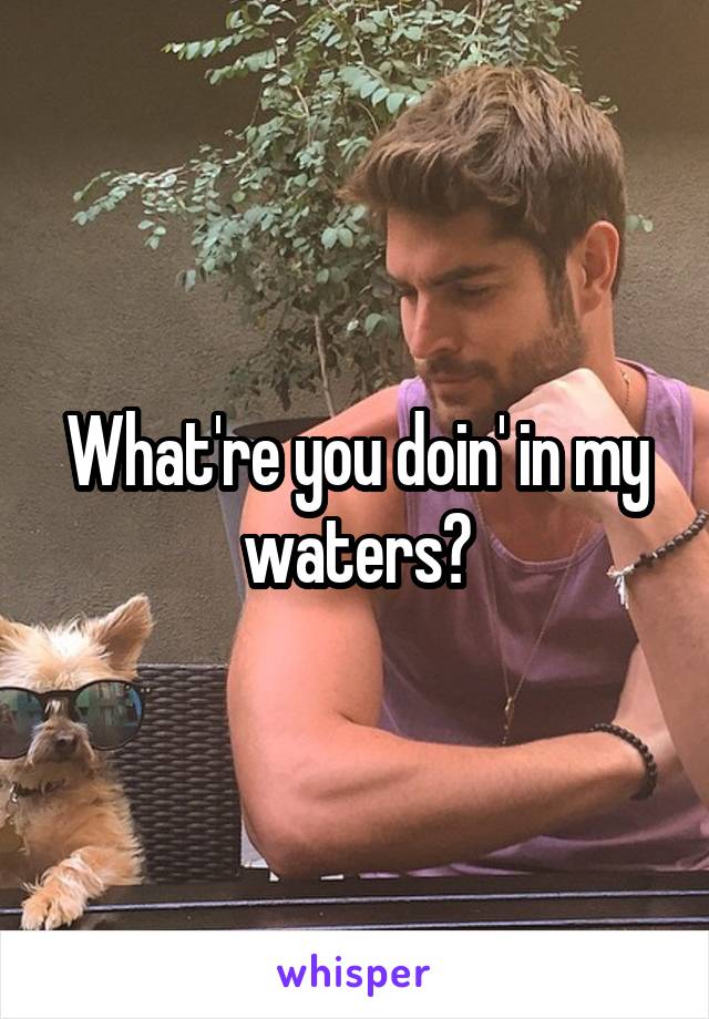 What're you doin' in my waters?