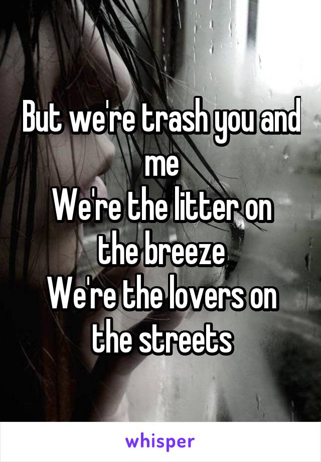 But we're trash you and me
We're the litter on the breeze
We're the lovers on the streets