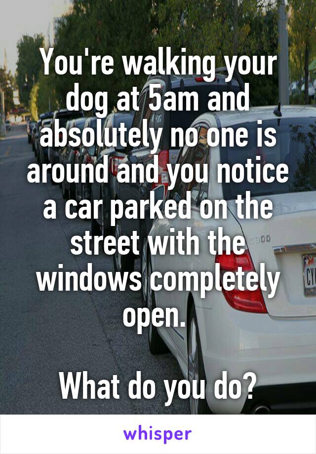 You're walking your dog at 5am and absolutely no one is around and you notice a car parked on the street with the windows completely open. 

What do you do?