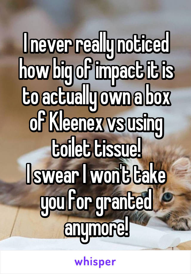I never really noticed how big of impact it is to actually own a box of Kleenex vs using toilet tissue!
I swear I won't take you for granted anymore!