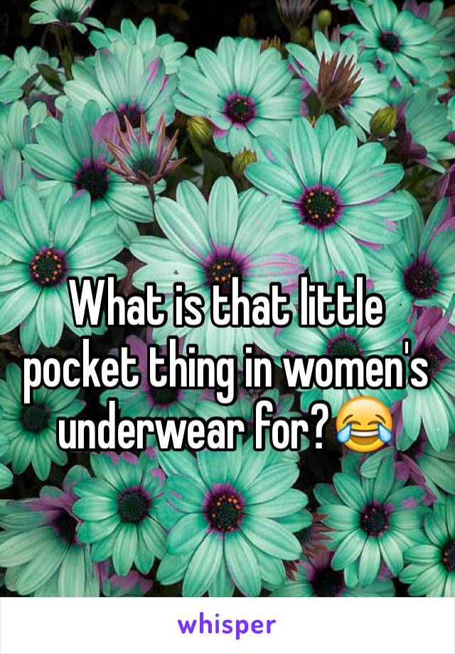 What is that little pocket thing in women's underwear for?😂