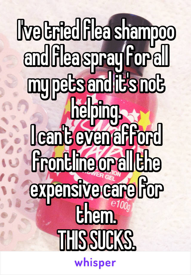 I've tried flea shampoo and flea spray for all my pets and it's not helping.
I can't even afford frontline or all the expensive care for them.
THIS SUCKS.