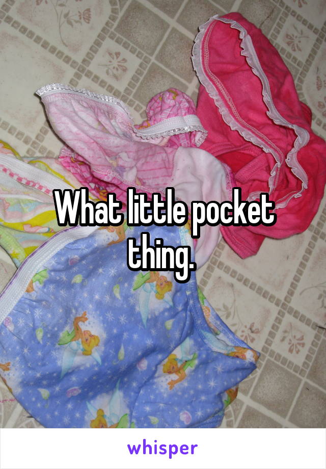 What little pocket thing. 