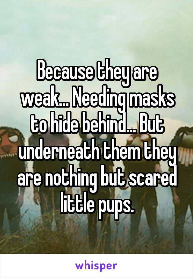 Because they are weak... Needing masks to hide behind... But underneath them they are nothing but scared little pups.