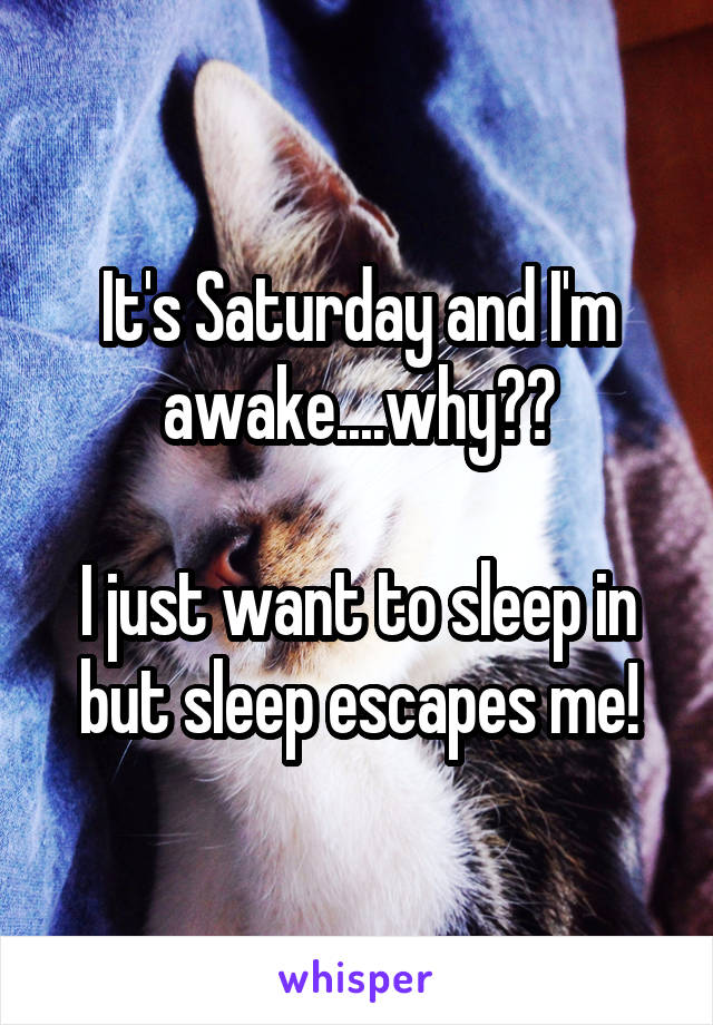It's Saturday and I'm awake....why??

I just want to sleep in but sleep escapes me!