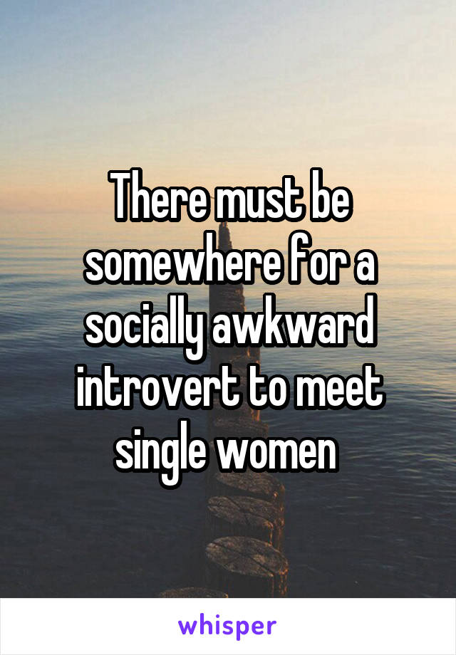 There must be somewhere for a socially awkward introvert to meet single women 