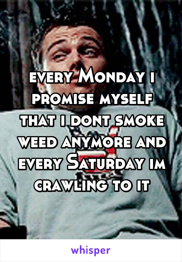 every Monday i promise myself that i dont smoke weed anymore and every Saturday im crawling to it