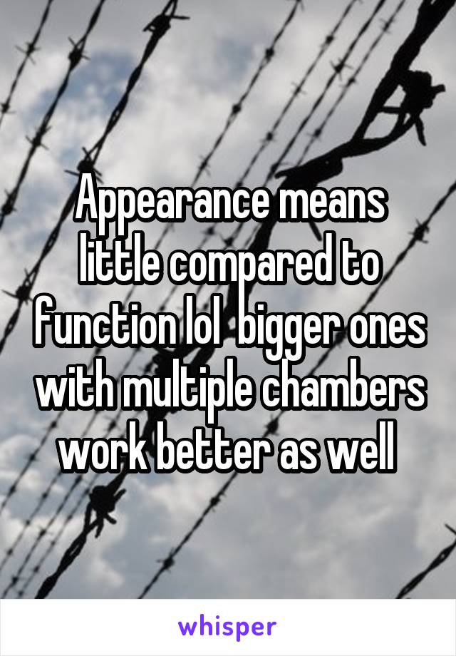 Appearance means little compared to function lol  bigger ones with multiple chambers work better as well 