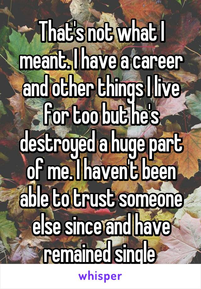 That's not what I meant. I have a career and other things I live for too but he's destroyed a huge part of me. I haven't been able to trust someone else since and have remained single 