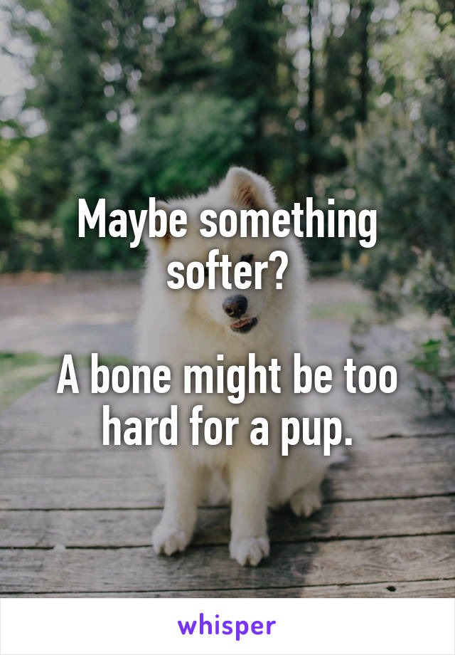 Maybe something softer?

A bone might be too hard for a pup.