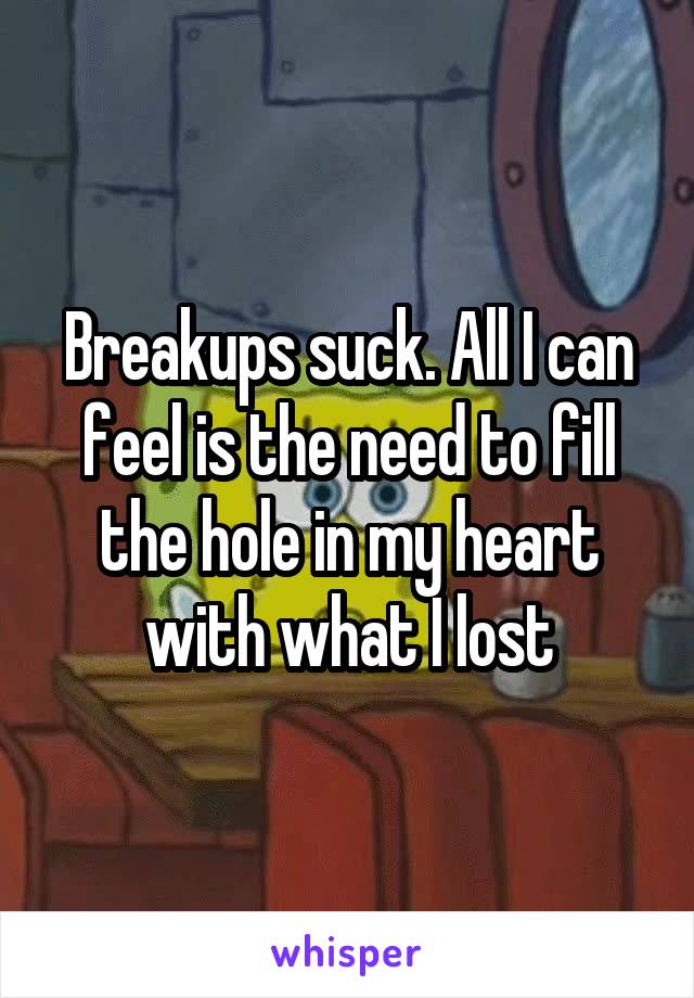 Breakups suck. All I can feel is the need to fill the hole in my heart with what I lost