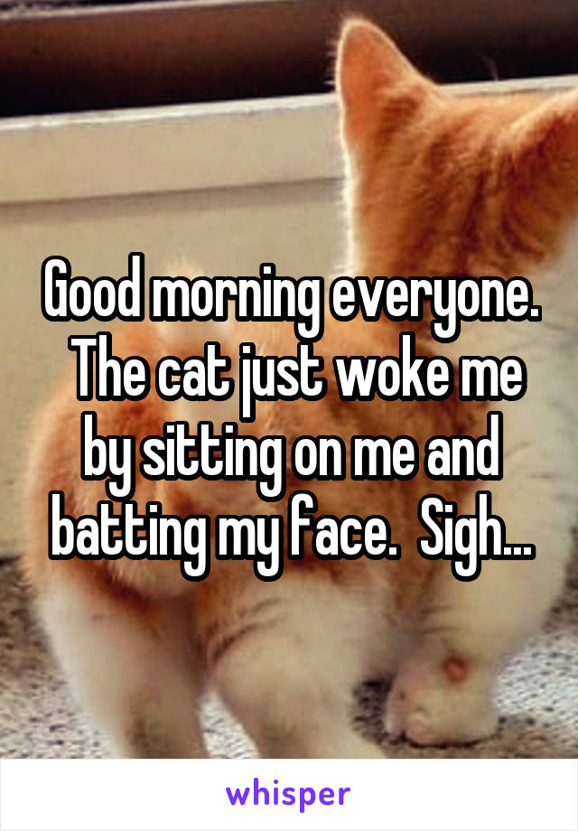 Good morning everyone.  The cat just woke me by sitting on me and batting my face.  Sigh...