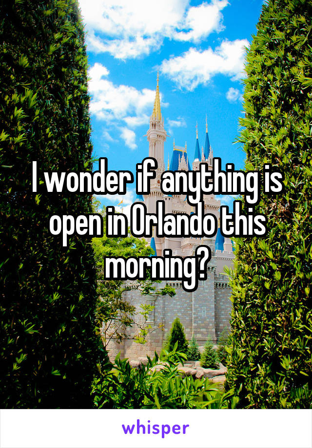 I wonder if anything is open in Orlando this morning?