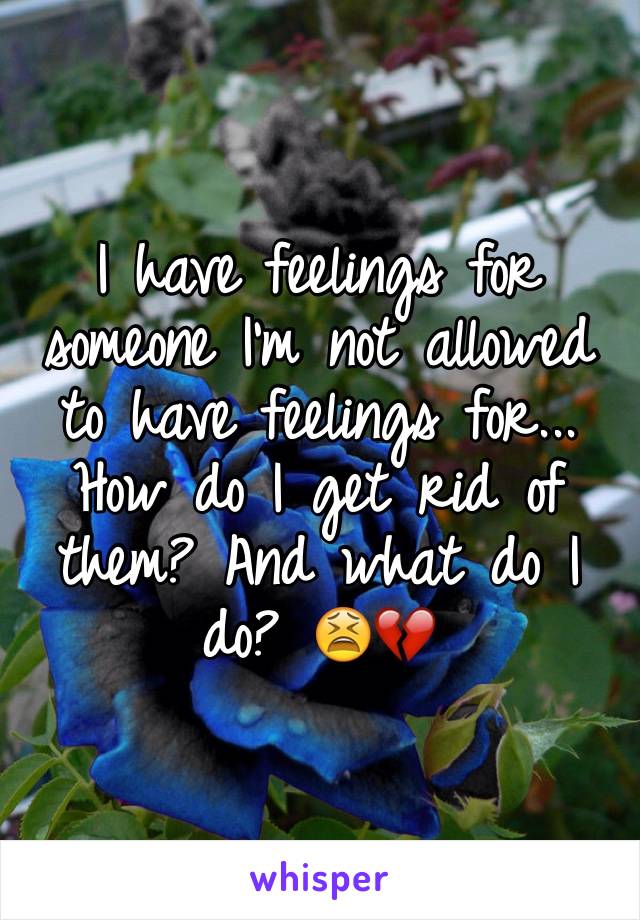 I have feelings for someone I'm not allowed to have feelings for... How do I get rid of them? And what do I do? 😫💔
