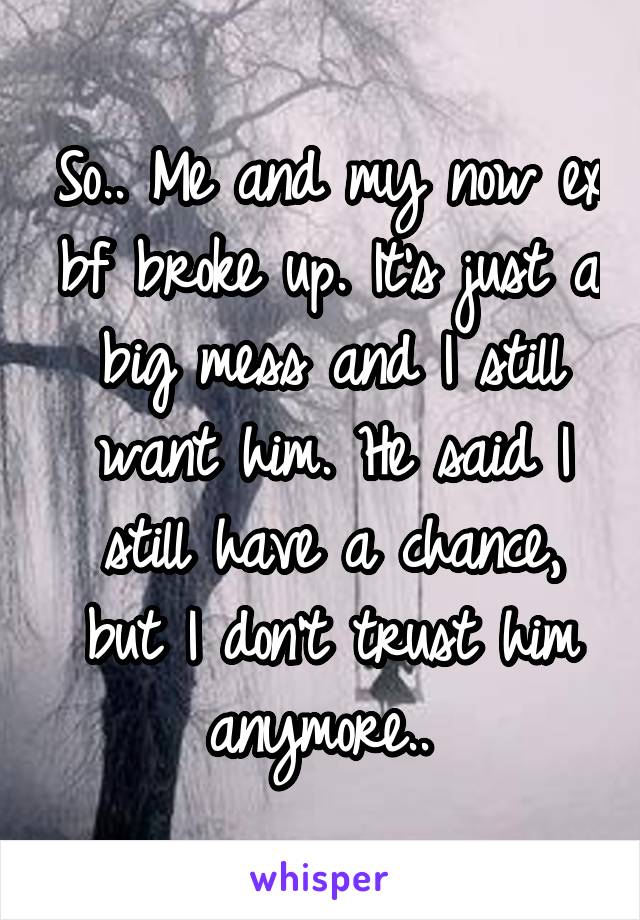 So.. Me and my now ex bf broke up. It's just a big mess and I still want him. He said I still have a chance, but I don't trust him anymore.. 