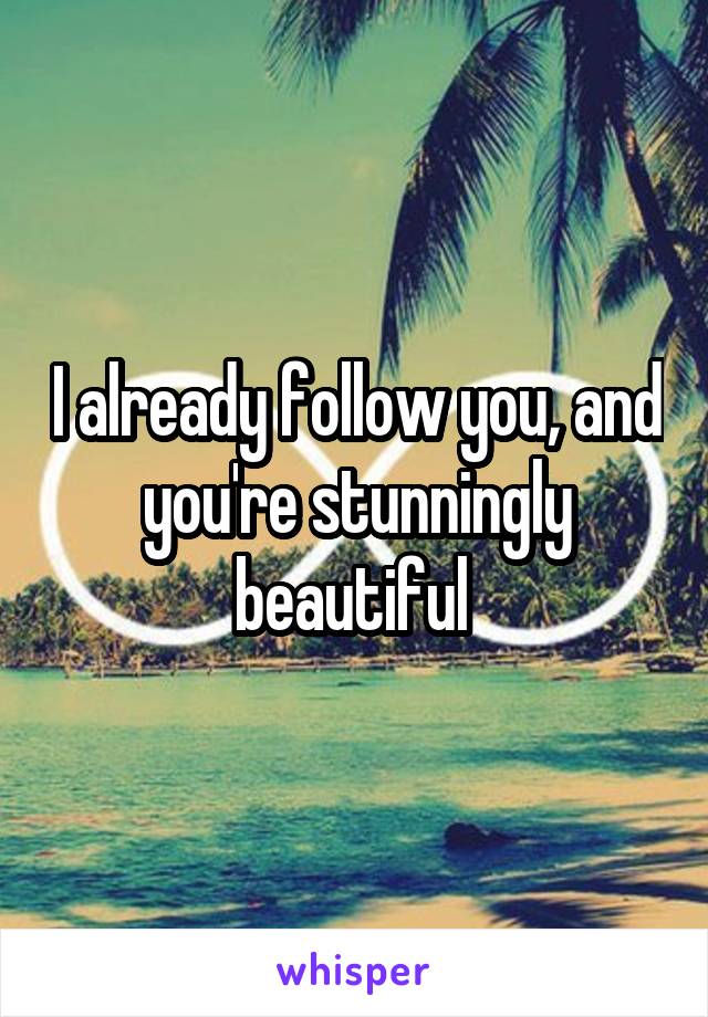 I already follow you, and you're stunningly beautiful 