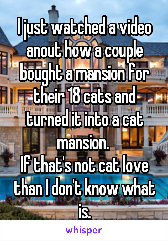 I just watched a video anout how a couple bought a mansion for their 18 cats and turned it into a cat mansion. 
If that's not cat love than I don't know what is.