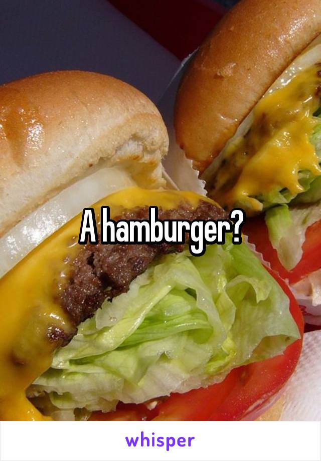 A hamburger?