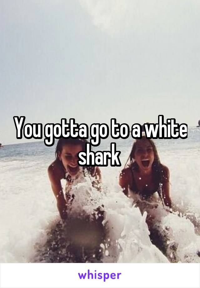 You gotta go to a white shark 