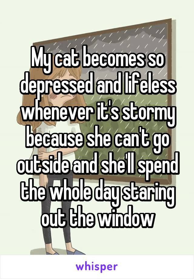 My cat becomes so depressed and lifeless whenever it's stormy because she can't go outside and she'll spend the whole day staring out the window