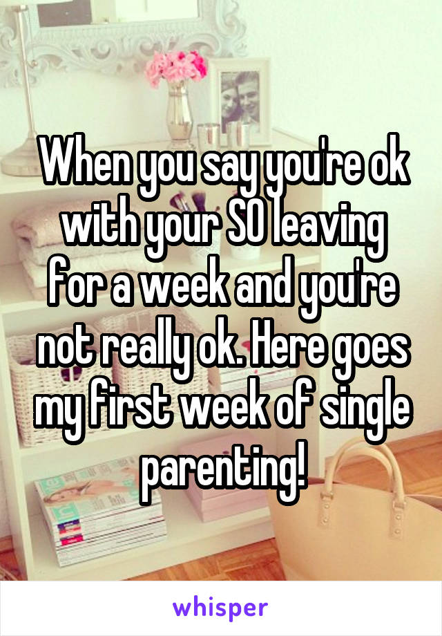 When you say you're ok with your SO leaving for a week and you're not really ok. Here goes my first week of single parenting!