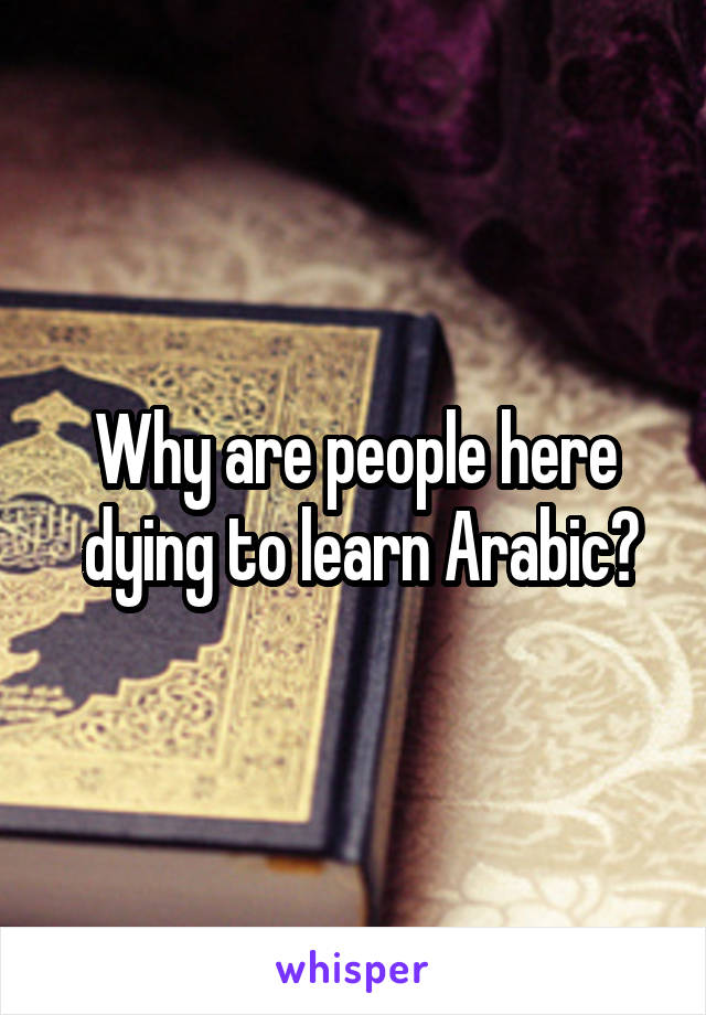 Why are people here
 dying to learn Arabic?
