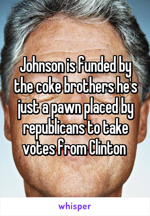 Johnson is funded by the coke brothers he's just a pawn placed by republicans to take votes from Clinton 