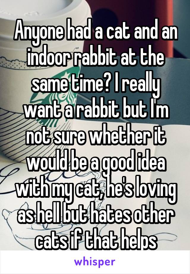 Anyone had a cat and an indoor rabbit at the same time? I really want a rabbit but I'm not sure whether it would be a good idea with my cat, he's loving as hell but hates other cats if that helps