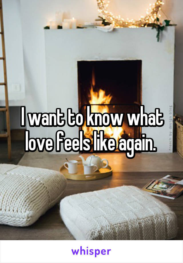 I want to know what love feels like again. 