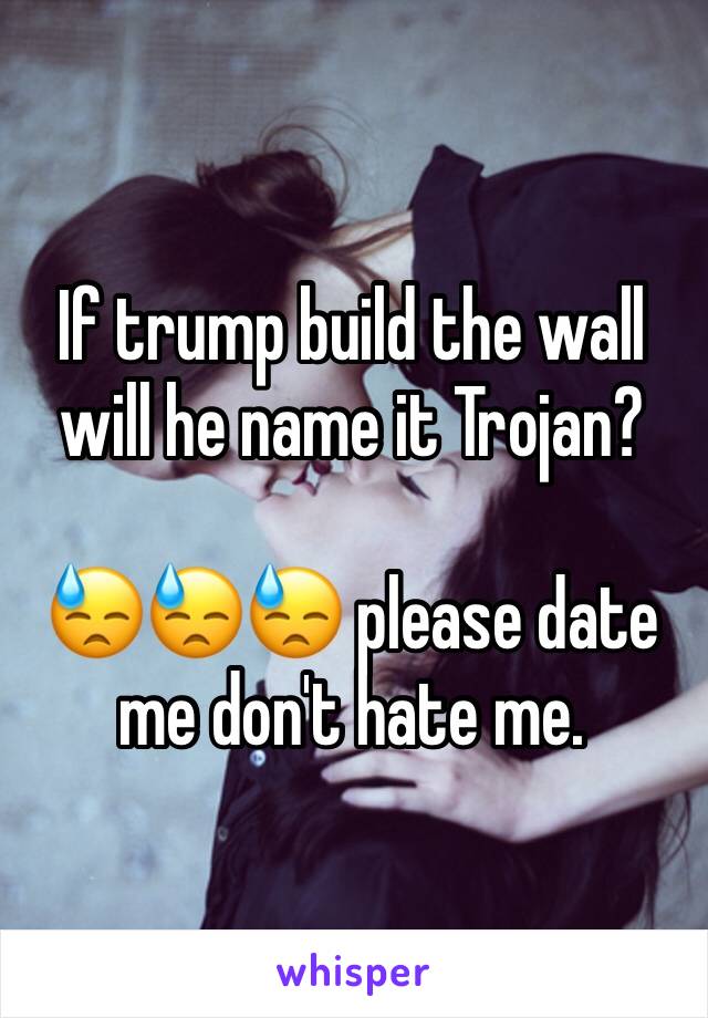 If trump build the wall will he name it Trojan? 

😓😓😓 please date me don't hate me. 