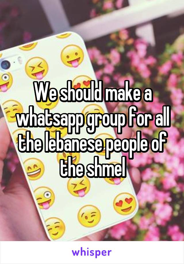 We should make a whatsapp group for all the lebanese people of the shmel