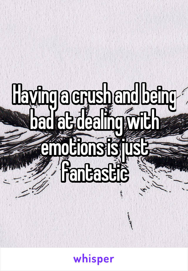 Having a crush and being bad at dealing with emotions is just fantastic