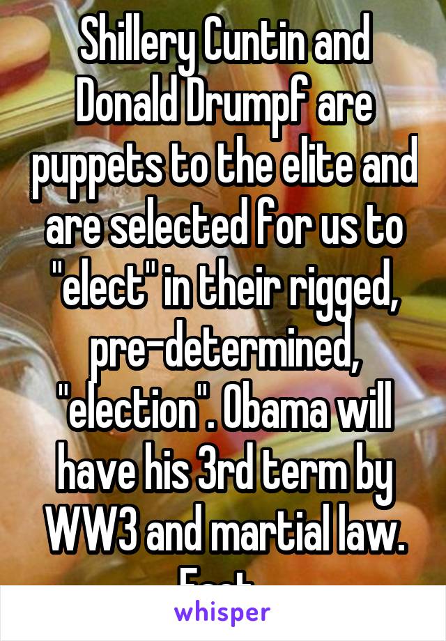 Shillery Cuntin and Donald Drumpf are puppets to the elite and are selected for us to "elect" in their rigged, pre-determined, "election". Obama will have his 3rd term by WW3 and martial law. Fact. 