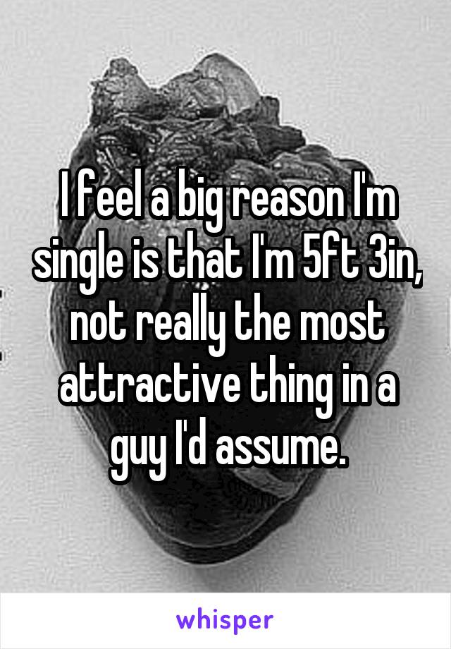 I feel a big reason I'm single is that I'm 5ft 3in, not really the most attractive thing in a guy I'd assume.