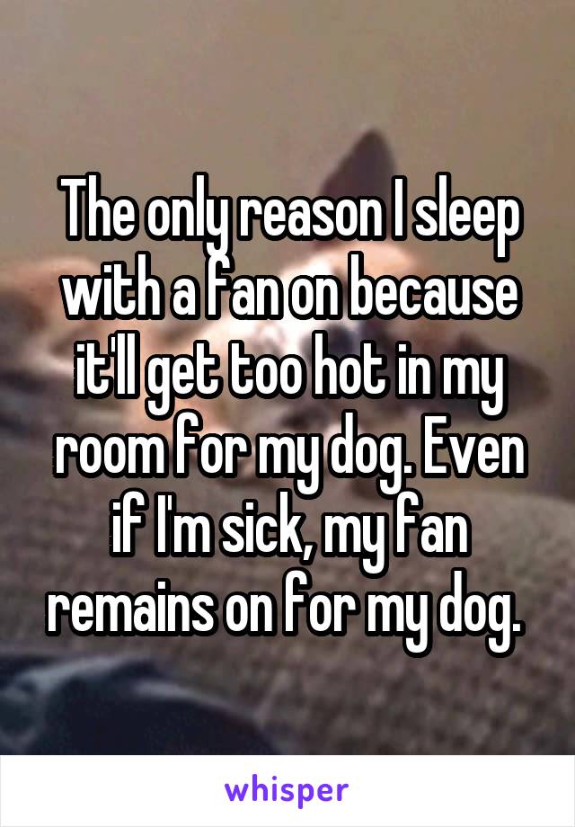 The only reason I sleep with a fan on because it'll get too hot in my room for my dog. Even if I'm sick, my fan remains on for my dog. 