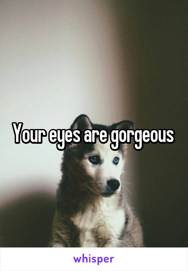 Your eyes are gorgeous 