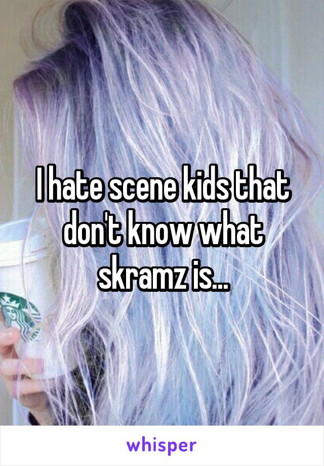 I hate scene kids that don't know what skramz is...