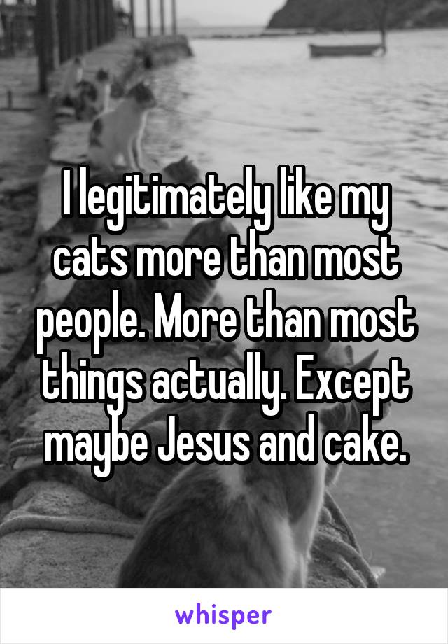 I legitimately like my cats more than most people. More than most things actually. Except maybe Jesus and cake.