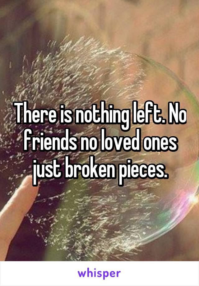 There is nothing left. No friends no loved ones just broken pieces.